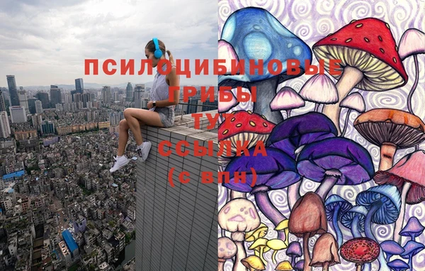 СК Алзамай