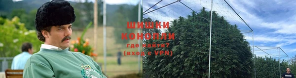 крисы Алексеевка
