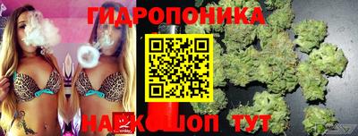 не бодяженный Камышлов