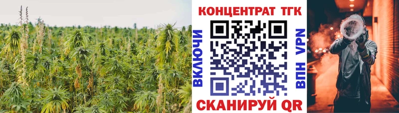 ТГК гашишное масло  как найти закладки  блэк спрут ссылки  Лесной 