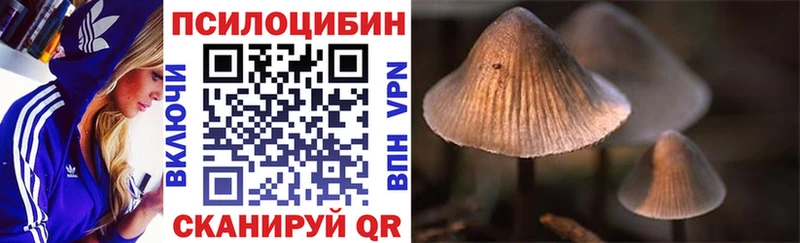 где купить наркоту Лесной Галлюциногенные грибы Psilocybine cubensis
