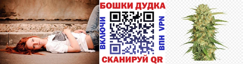 Бошки Шишки THC 21% Лесной